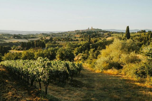 Barbaresco chez Cave SA : quels domaines italiens valent vraiment le détour ? Barbaresco chez Cave SA : quels domaines italiens valent vraiment le détour ?