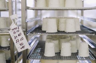 Comment conserver ses fromages au frigo sans les étouffer ?