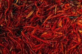Le piment d'Espelette AOP, du champ à la corde